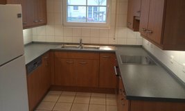 PCScleaning Trash Junk Hauling Transpot/Moving Yardworks/Painting Etc. in Ramstein, Germany